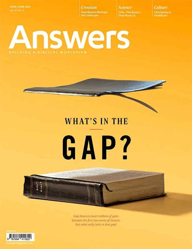 00a182-answers-magazine-single-issue-vol-18-no-2-various