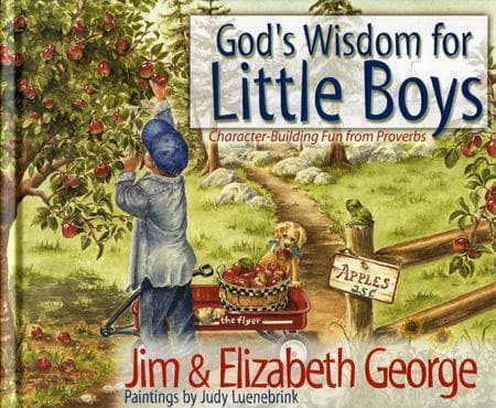 9780736908245-george-gods-wisdom-little-boys
