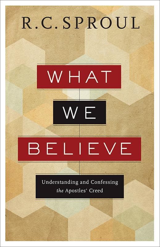 9780801018473-Sproul-What-we-believe