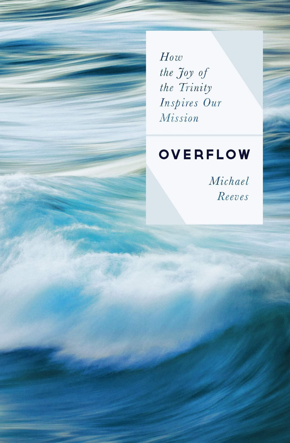 9780802422613-overflow-how-the-joy-of-the-trinity-inspires-our-mission-michael-reeves