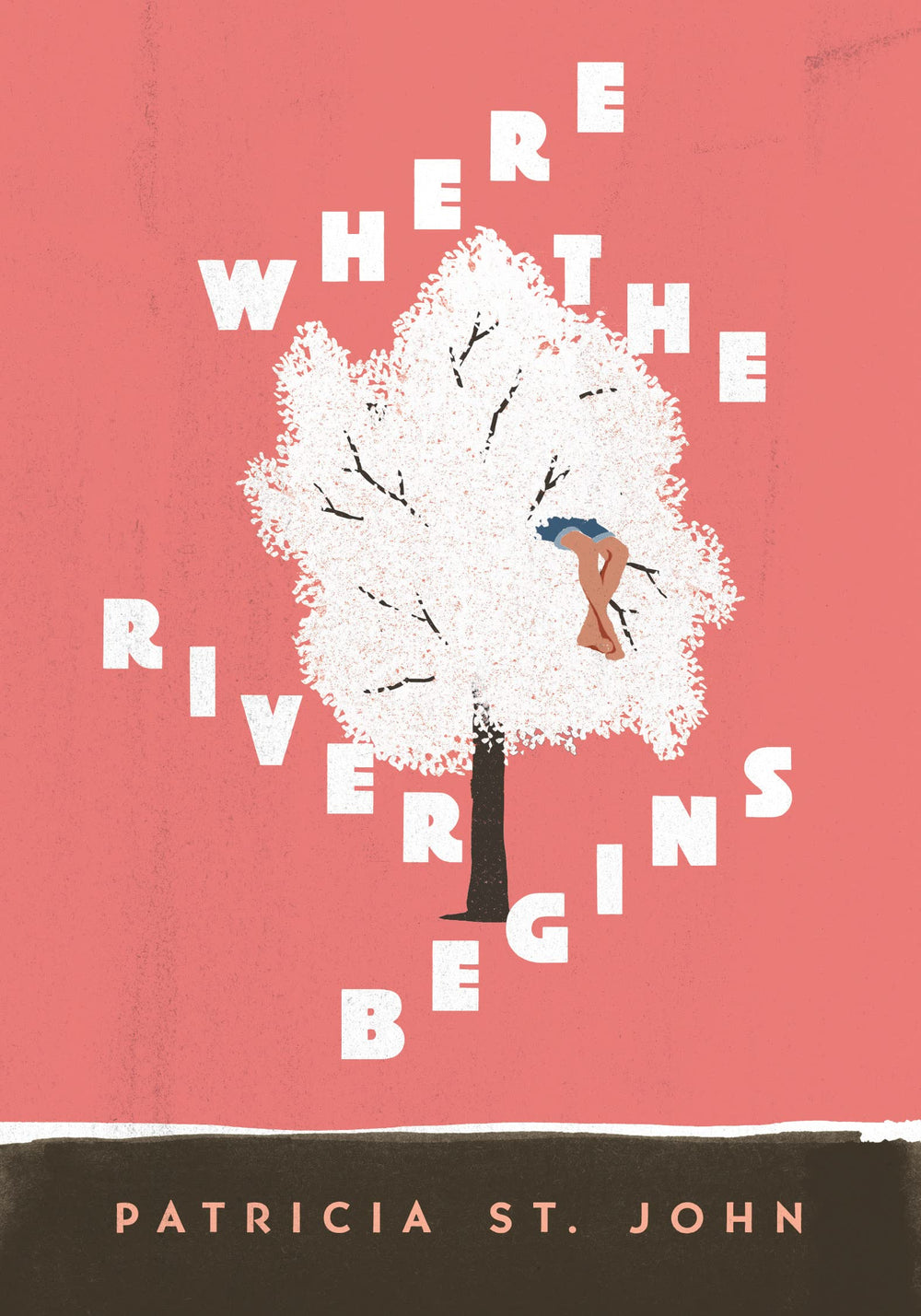 9780802481245-where-the-river-begins-patricia-st-john