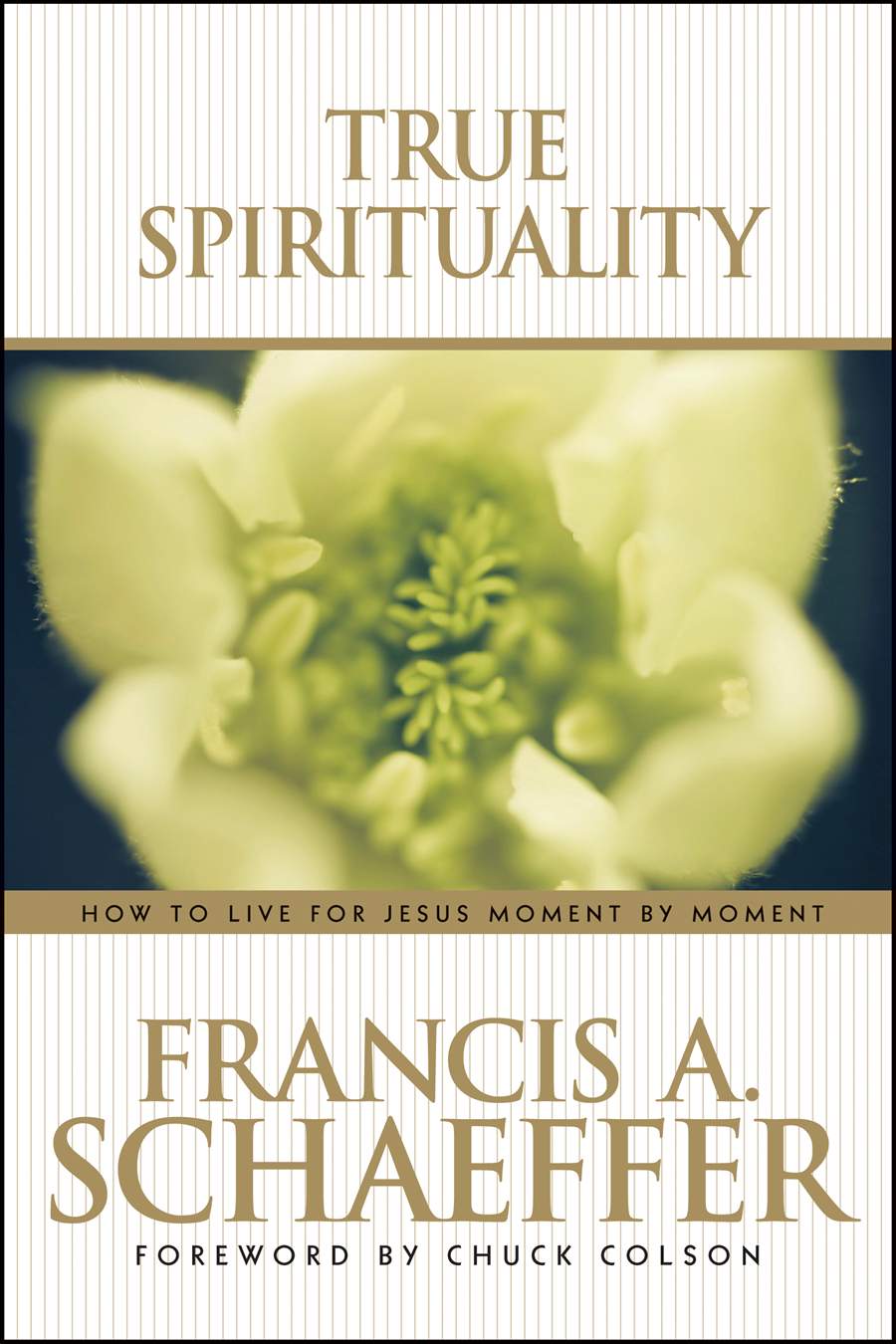 9780842373517-true-spirituality-francis-schaeffer