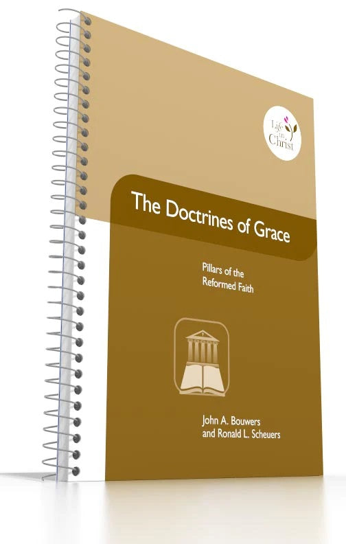 9780983329145-grade-11-the-doctrines-of-grace-pillars-of-the-reformed-faith-john-a-bouwers-ronald-l-scheuers