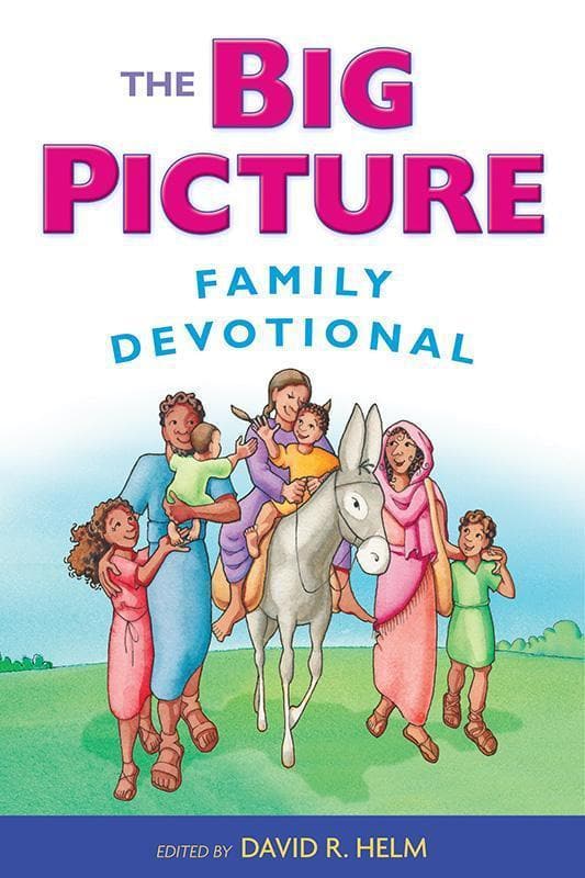 9781433542251-Helm-The-big-picture-family-devotional