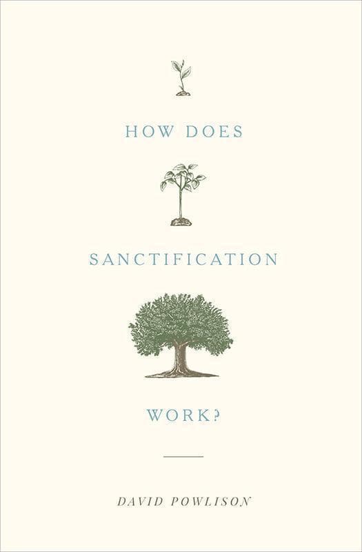 9781433556104-Powlison-How-does-sanctification-work