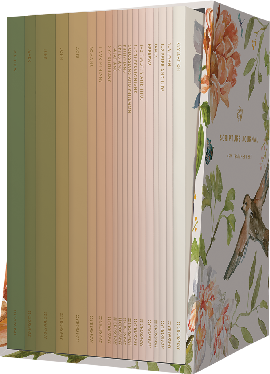 9781433581656-esv-scripture-journal-new-testament-set-artwork-by-ruth-chou-simons-paperback-esv