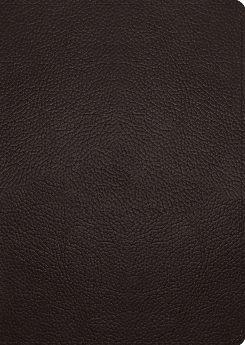 9781433587078-esv-study-bible-large-print-buffalo-leather-deep-brown-esv2
