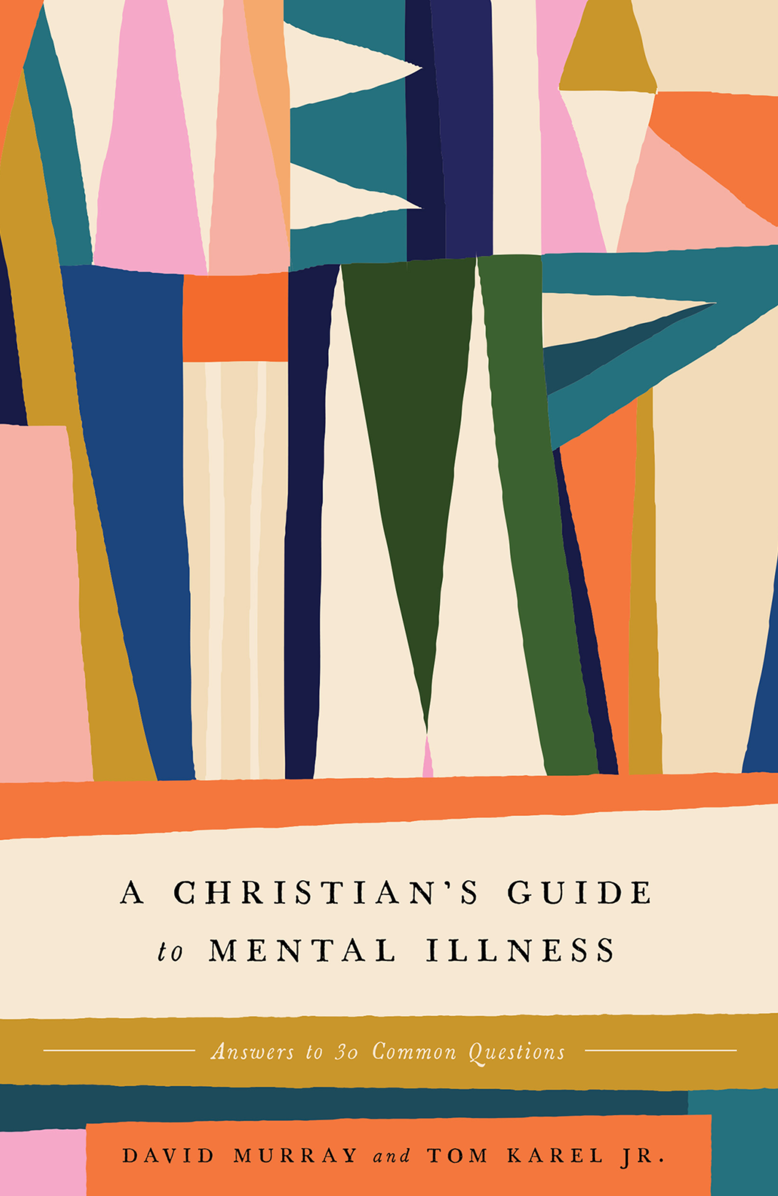 9781433587276-christians-guide-to-mental-illness-a-answers-to-30-common-questions-david-murraytom-karel