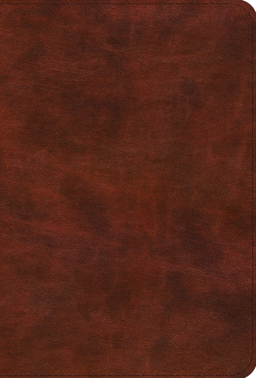 9781433591891-esv-bible-promises-700-passages-to-strengthen-your-faith-trutone-brown-esv