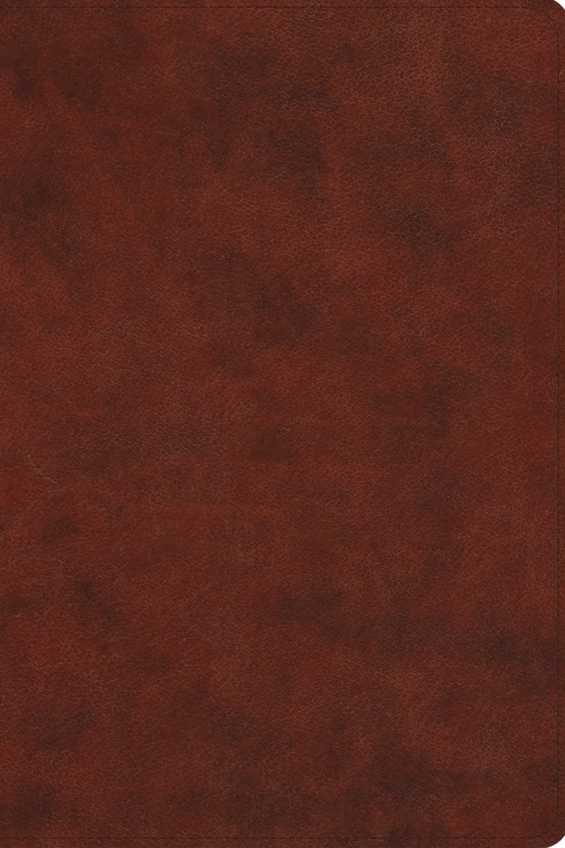 9781433595707-esv-everyday-gospel-bible-connecting-scripture-to-all-of-life-trutone-chestnut-esv