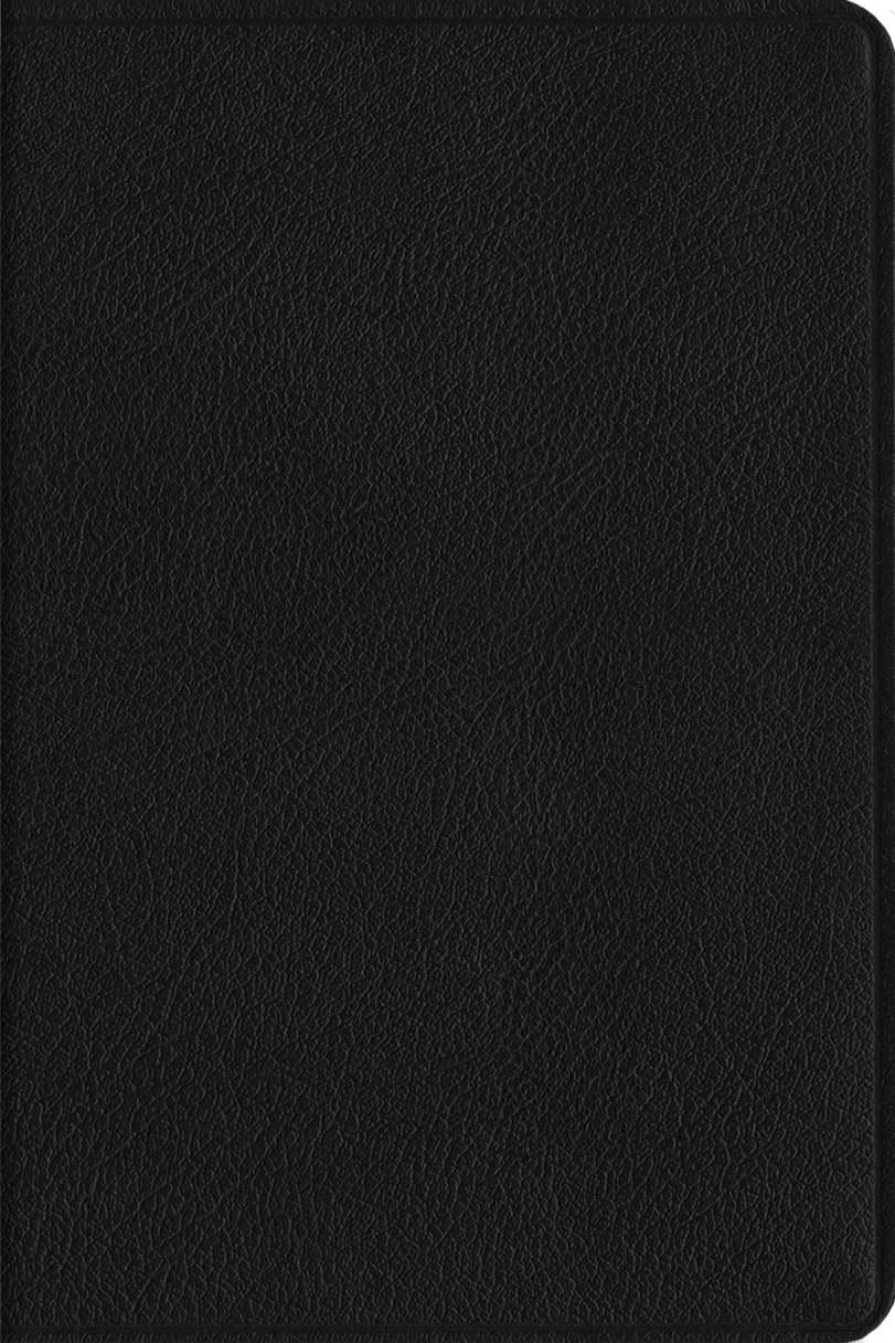 9781433595714-esv-everyday-gospel-bible-connecting-scripture-to-all-of-life-genuine-leather-black-esv