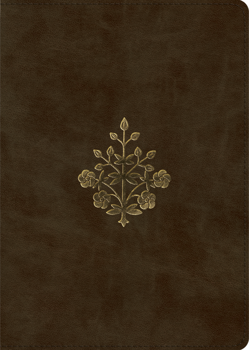9781433595806-esv-study-bible-large-print-trutone-olive-branch-design-esv_8f7421e5-89a3-4685-9f8c-e59f9cfabf30