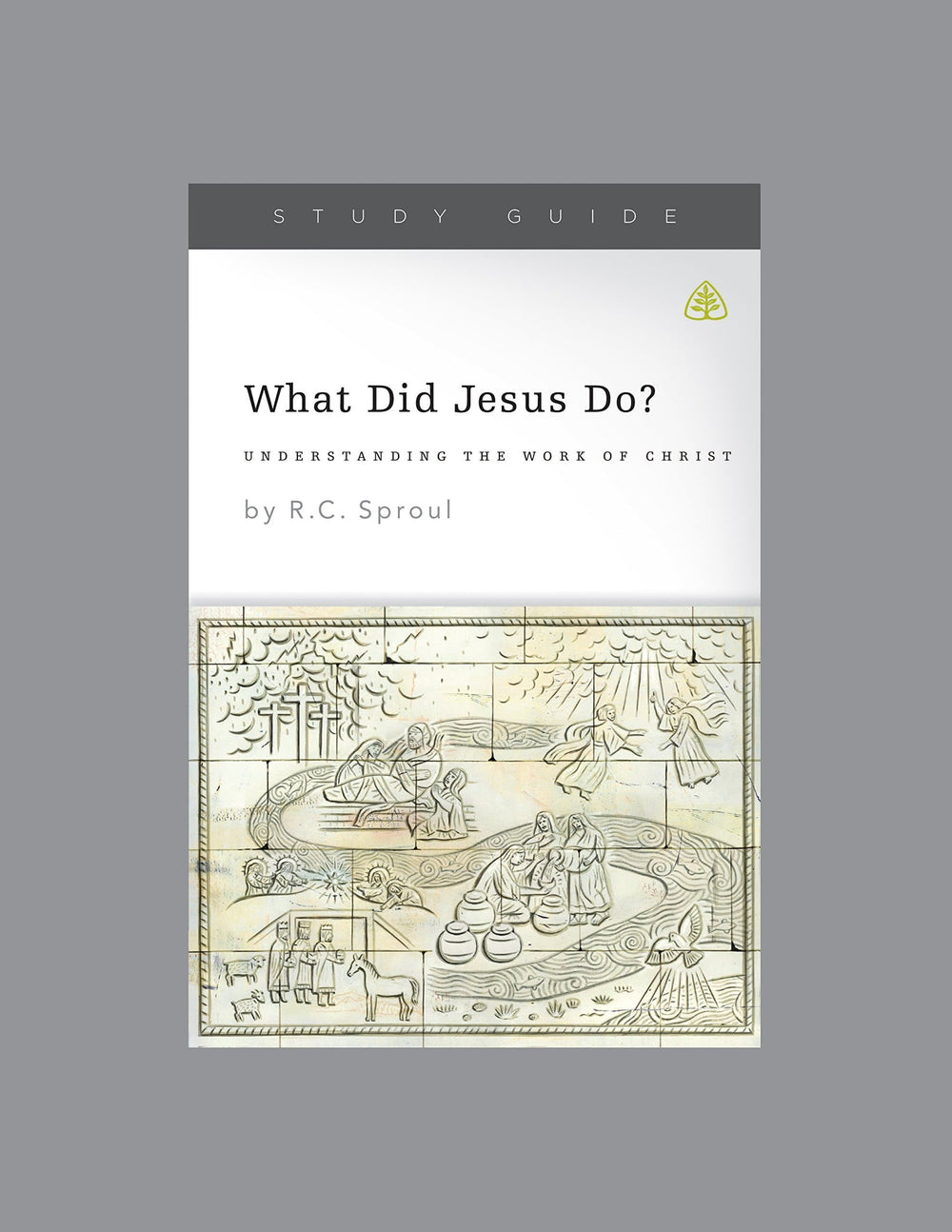 9781567699029-what-did-jesus-do-understanding-the-work-of-christ-study-guide-ligonier-ministries