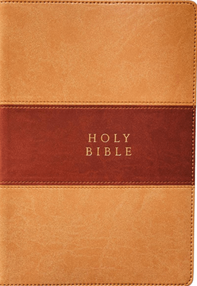 9781601789730-reformation-heritage-kjv-study-bible-leather-like-two-tone-brown-bible