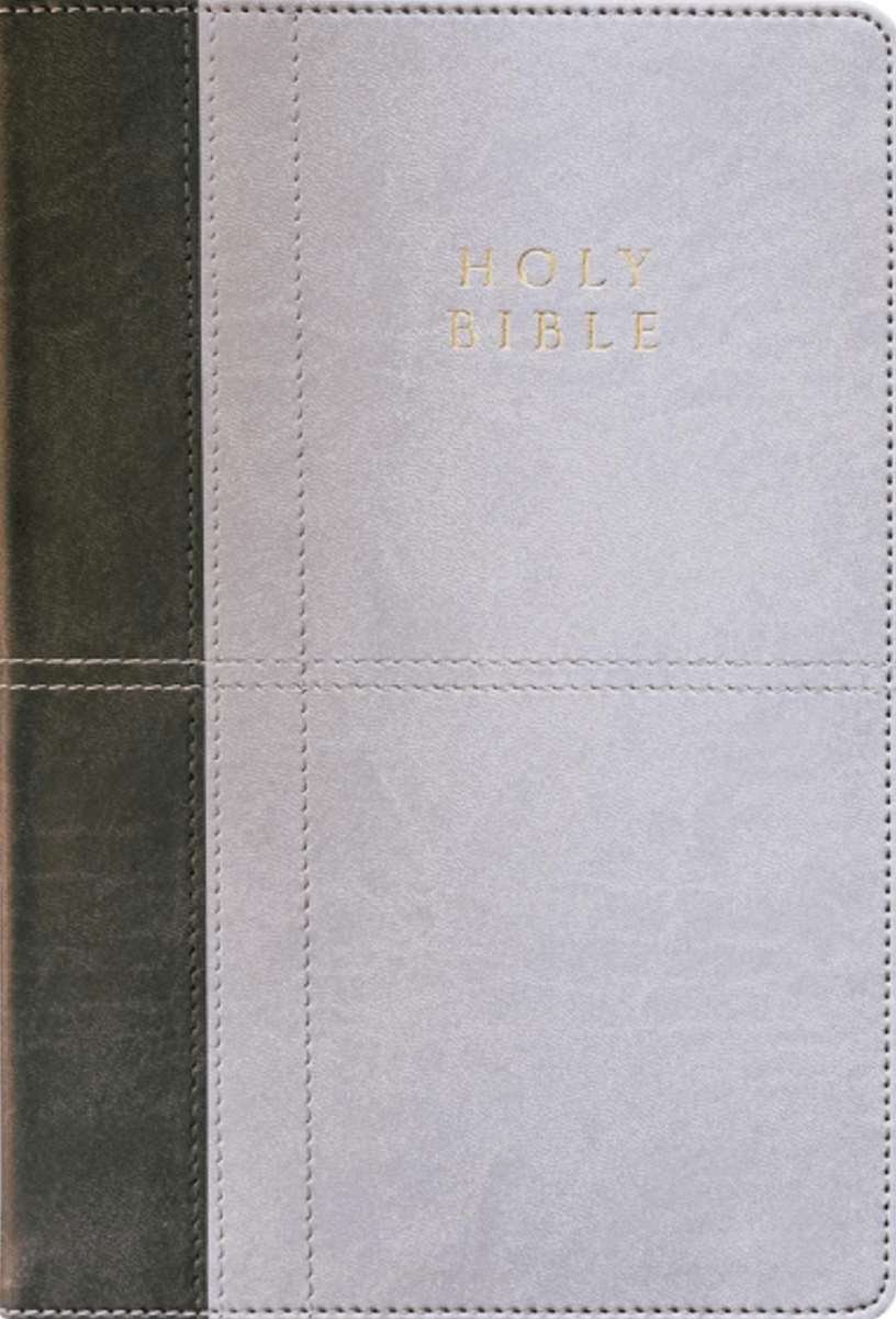9781601789747-reformation-heritage-kjv-study-bible-leather-like-two-tone-gray-bible