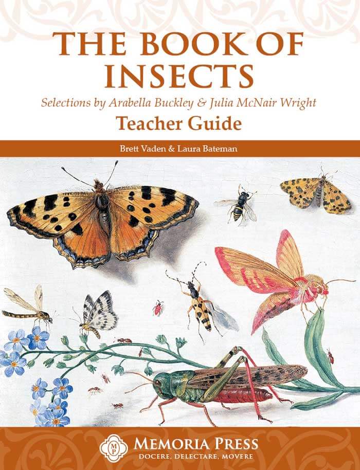 9781615380350-book-of-insects-the-teacher-guide-brett-vaden-laura-bateman