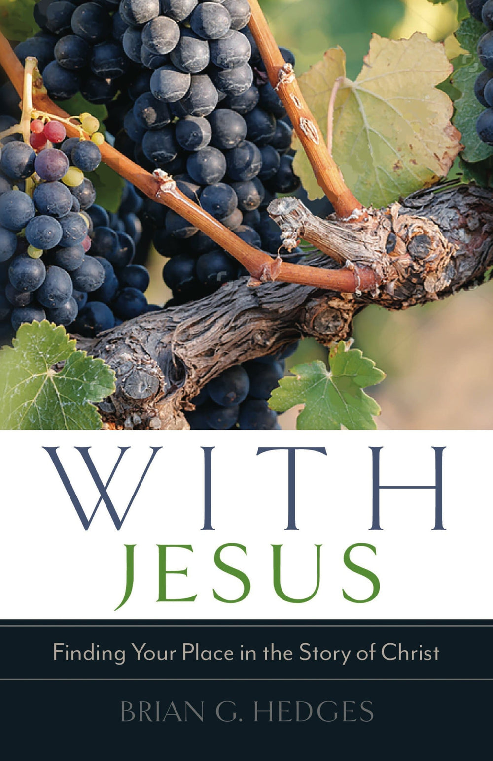 9781633421066-Hedges-With-Jesus-finding-your-place-story-of-Christ