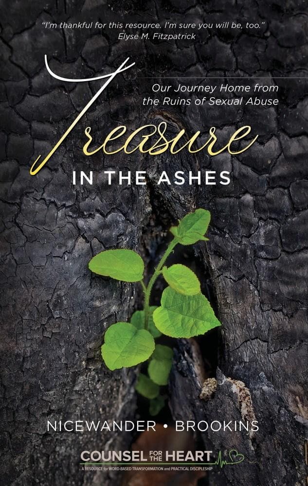 9781633421394-treasure-in-the-ashes-sue-nicewander-maria-brookins