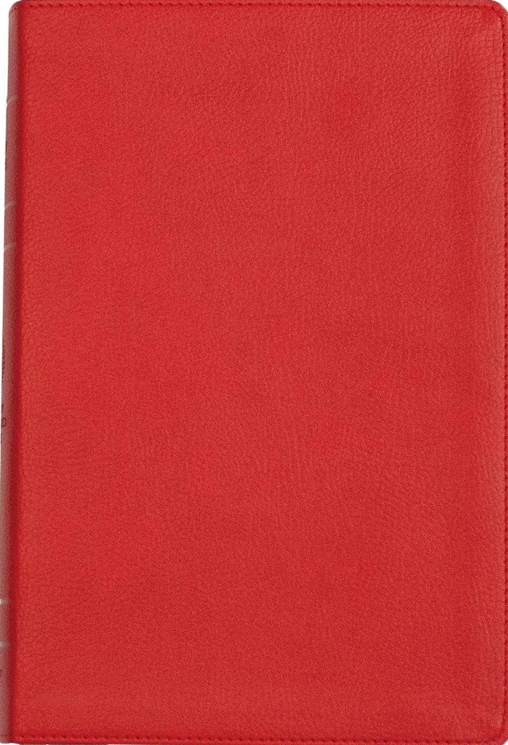 9781636641195-lsb-handy-size-red-letter-edition-faux-leather-red-bible1