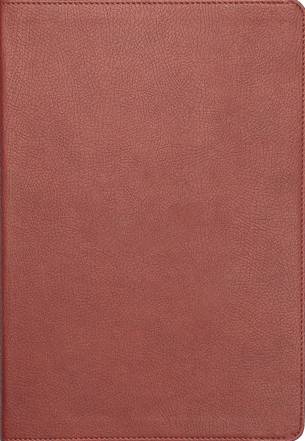 9781636643083-lsb-journaling-edition-paste-down-burnt-sienna-faux-leather-bible