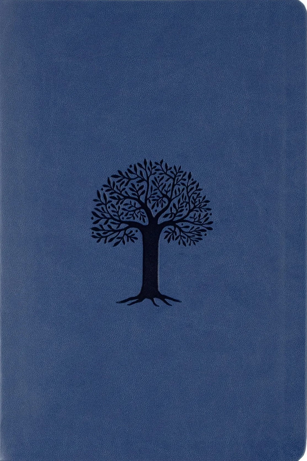 9781636644165-lsb-daily-reading-bible-faux-leather-blue-bible