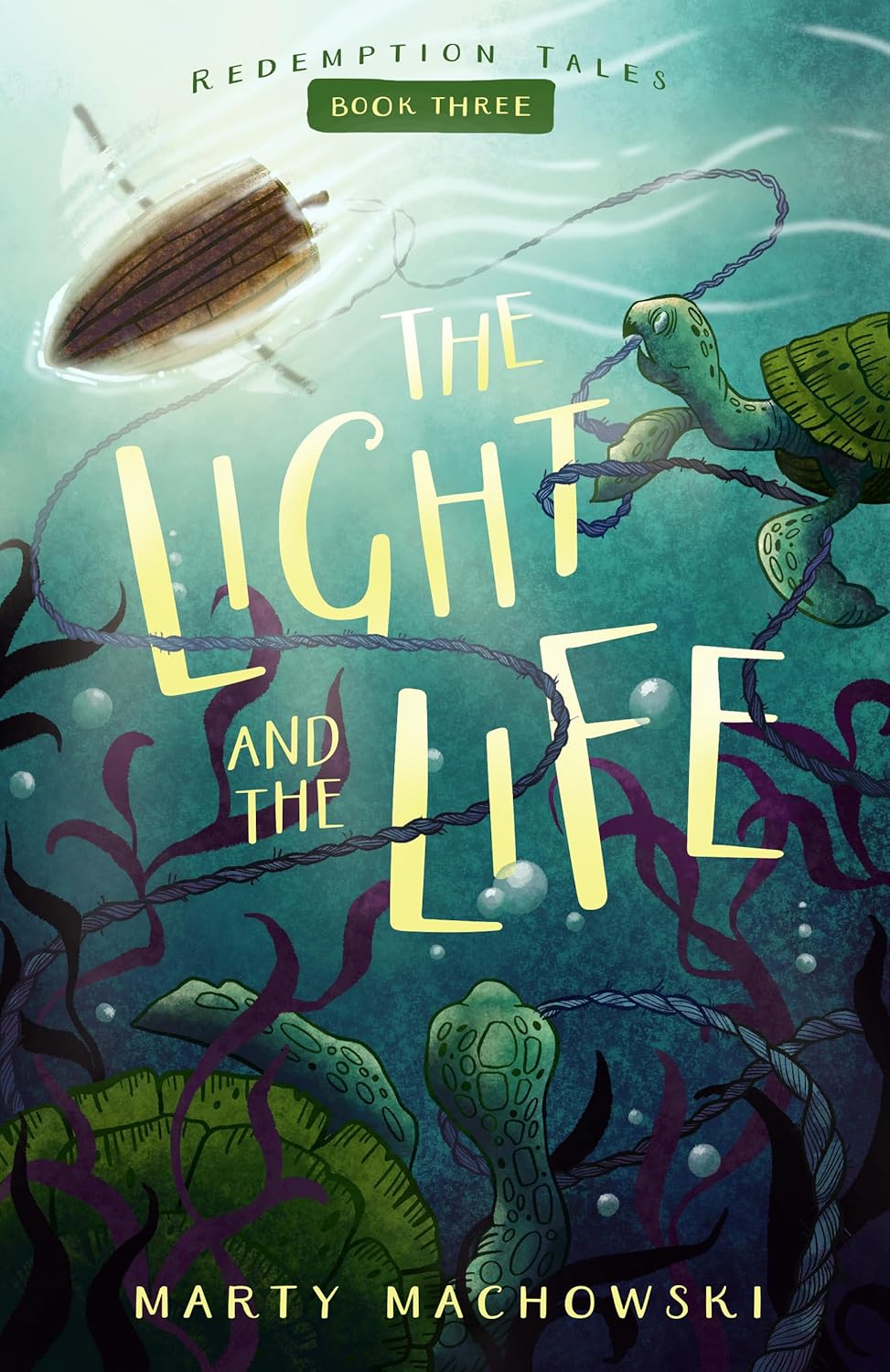 9781645074915-light-and-the-life-the-marty-machowski