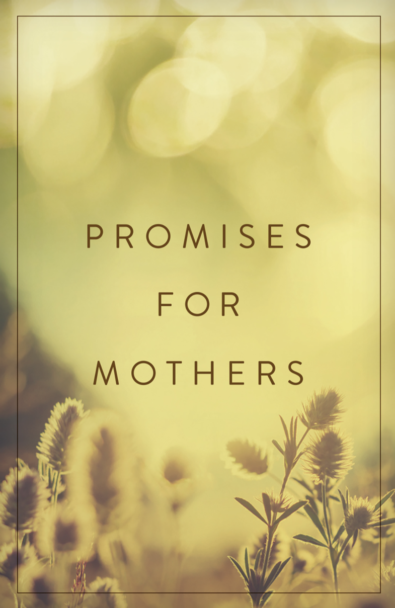 9781682163535-promises-for-mothers-tract-25-pack