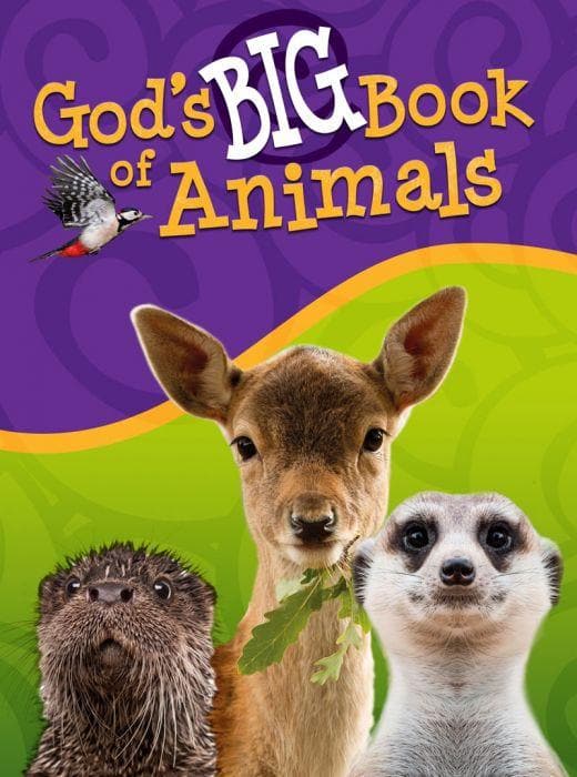 9781683441588-gods-big-book-of-animals-orit-kashtan