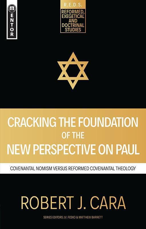 9781781919798-Cara-Cracking-the-foundation-of-the-new-perspective