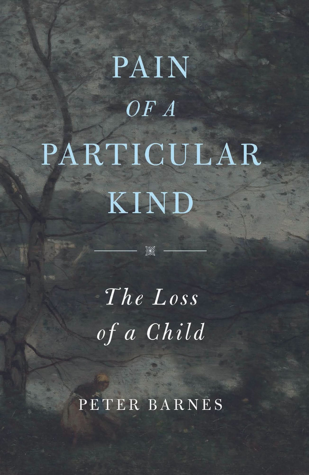 9781800404564-pain-of-a-particular-kind-the-loss-of-a-child-peter-barnes
