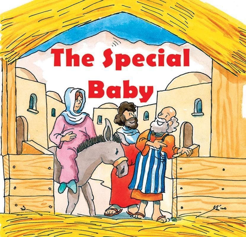 9781857924640-Scrimshire-The-special-baby