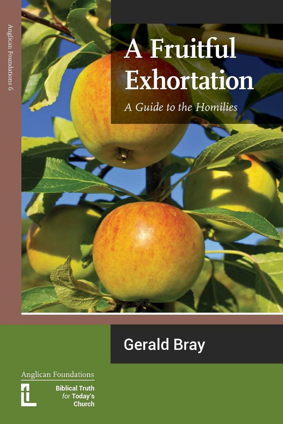 9781906327248-a-fruitful-exhortation-a-guide-to-the-homilies-bray-gerald