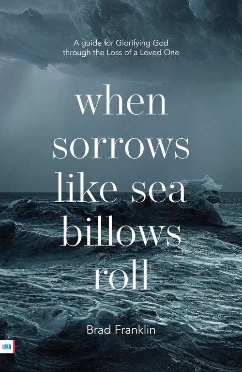 9781912154814-when-sorrows-like-sea-billows-roll-brad-franklin