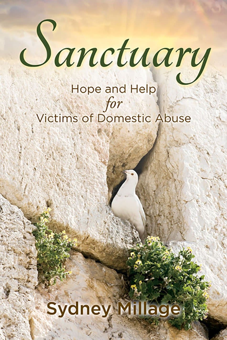 9781936141500-sanctuary-hope-and-help-for-victims-of-domestic-abuse-Sydney-Millage