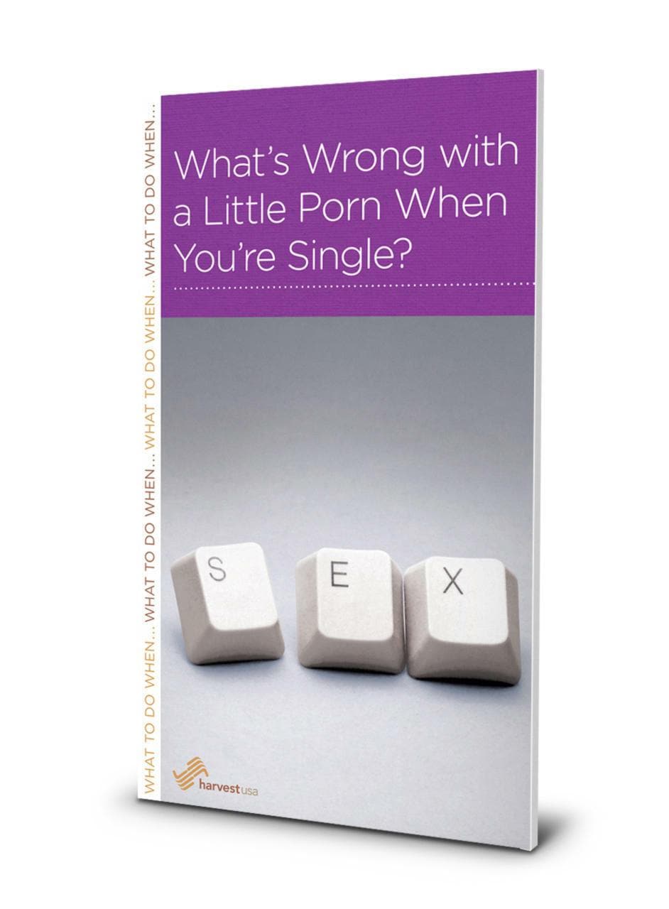9781936768936-ngp-whats-wrong-with-a-little-porn-when-youre-single-r-nicholas-black