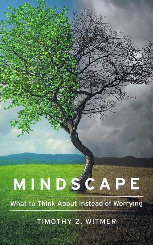 9781939946713-Witmer-Mindscape
