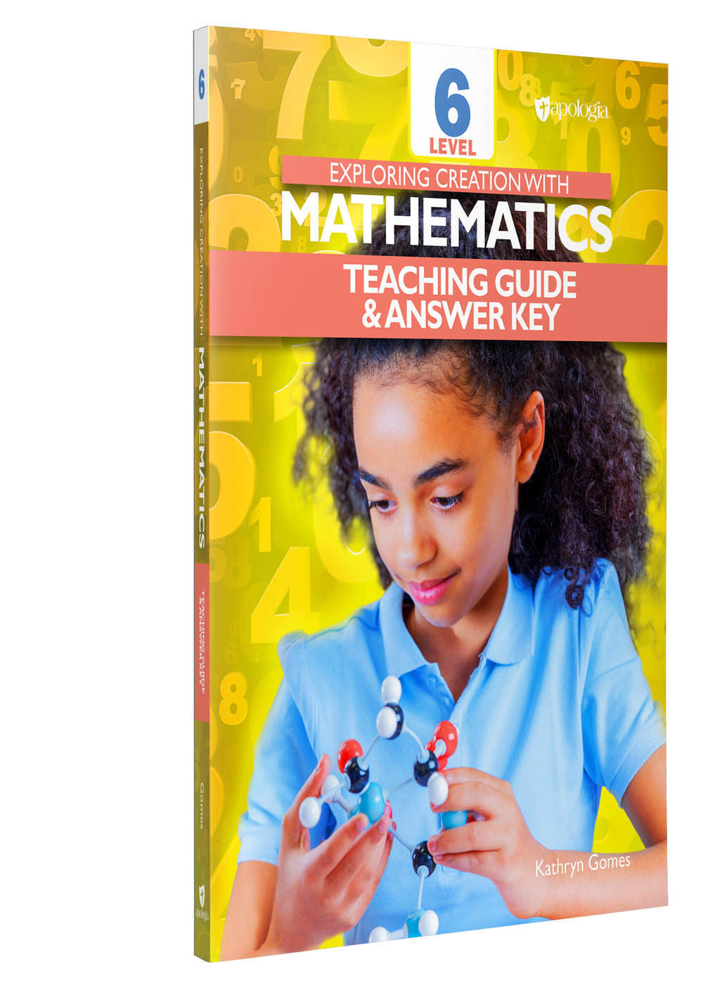 9781960929136-mathematics-level-6-teaching-guide-answer-key-kathryn-gomes