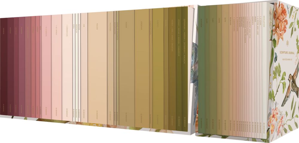 9798874900052-esv-scripture-journal-old-and-new-testament-sets-artwork-by-ruth-chou-simons