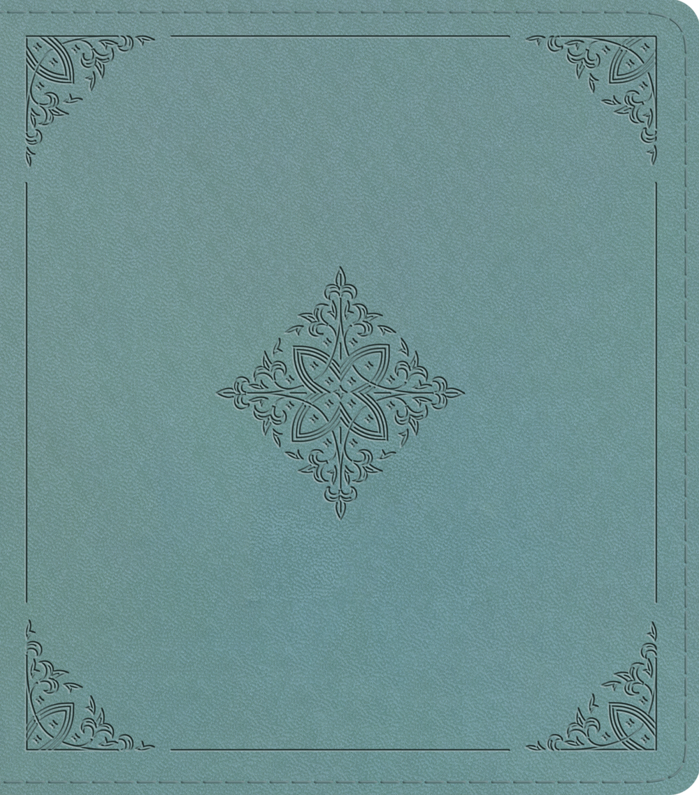 9798874902568-esv-journaling-study-bible-trutone-over-board-paris-sky-fleur-de-lis-design-esv