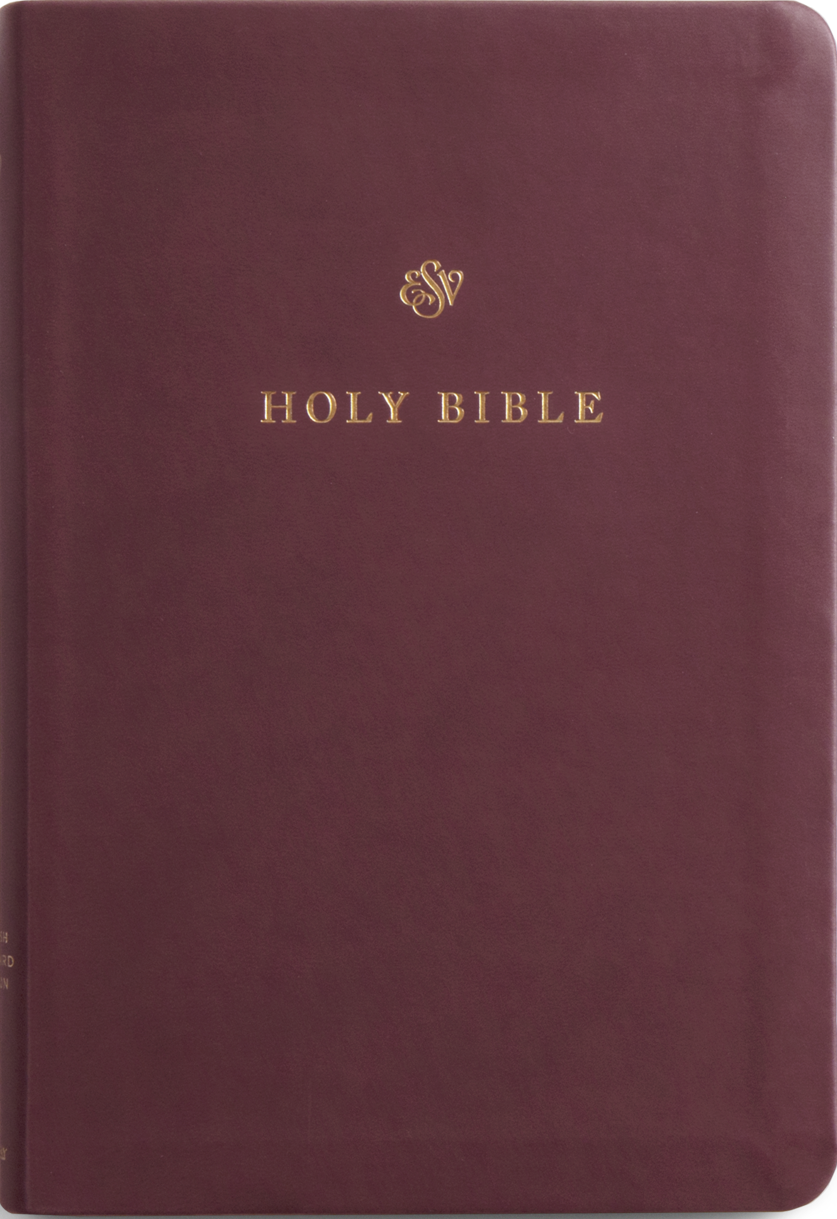 9798874903510-esv-gift-and-award-bible-trutone-burgundy-esv2