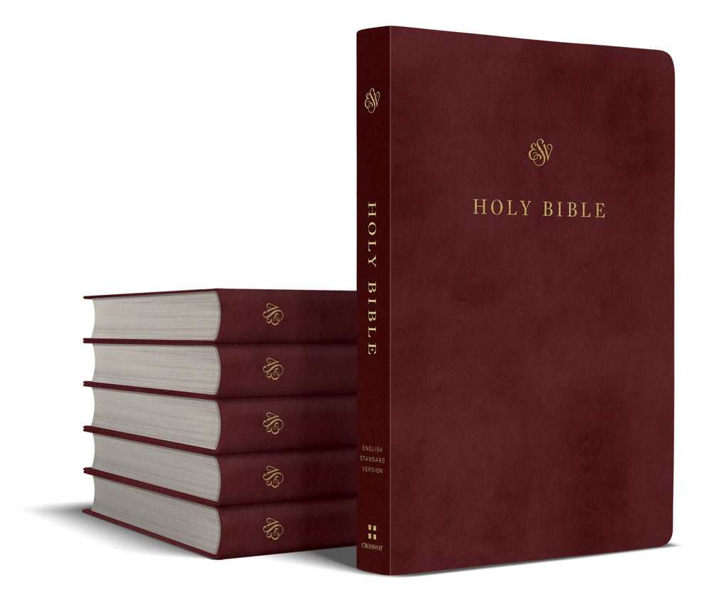 9798874909390-esv-gift-and-award-bible-trutone-burgundy-case-of-16-esv