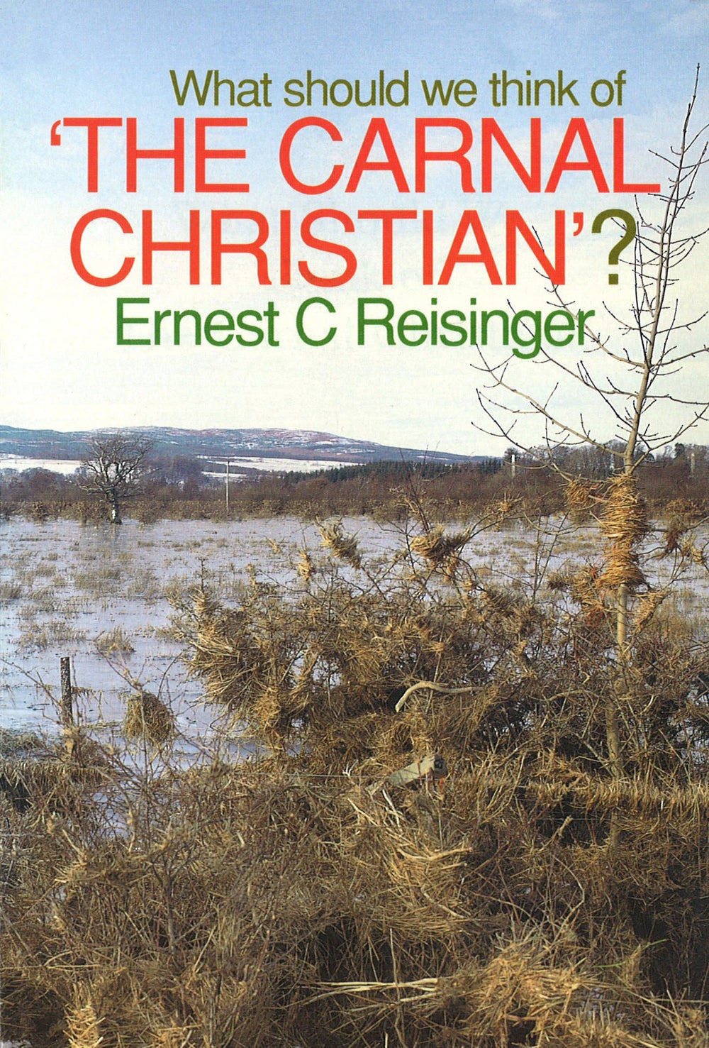 CarnalChristian_b1766f80-1c29-4cb8-b4ca-47c5722b7494