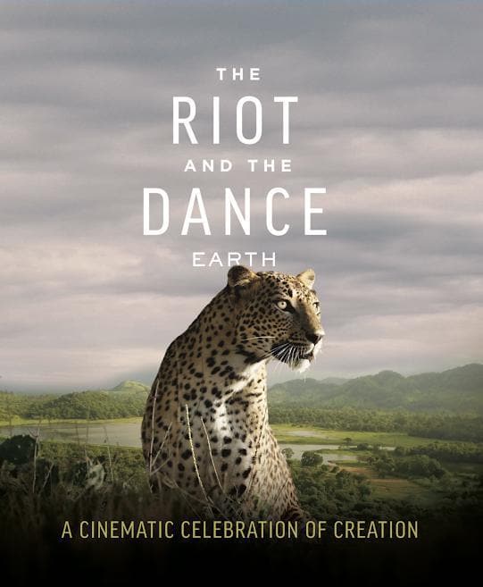 DVD-I137-the-riot-and-the-dance-blu-ray-N-D-Wilson-Gordon-Wilson