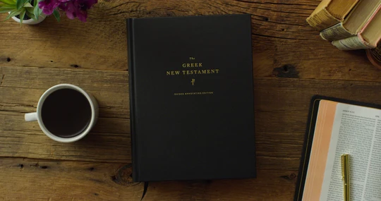 Book Review | The Greek New Testament Guided Jo...