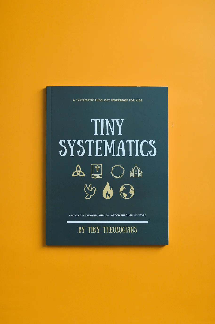 tt-tinysyst-tiny-systematics-workbook-tiny-theologians1