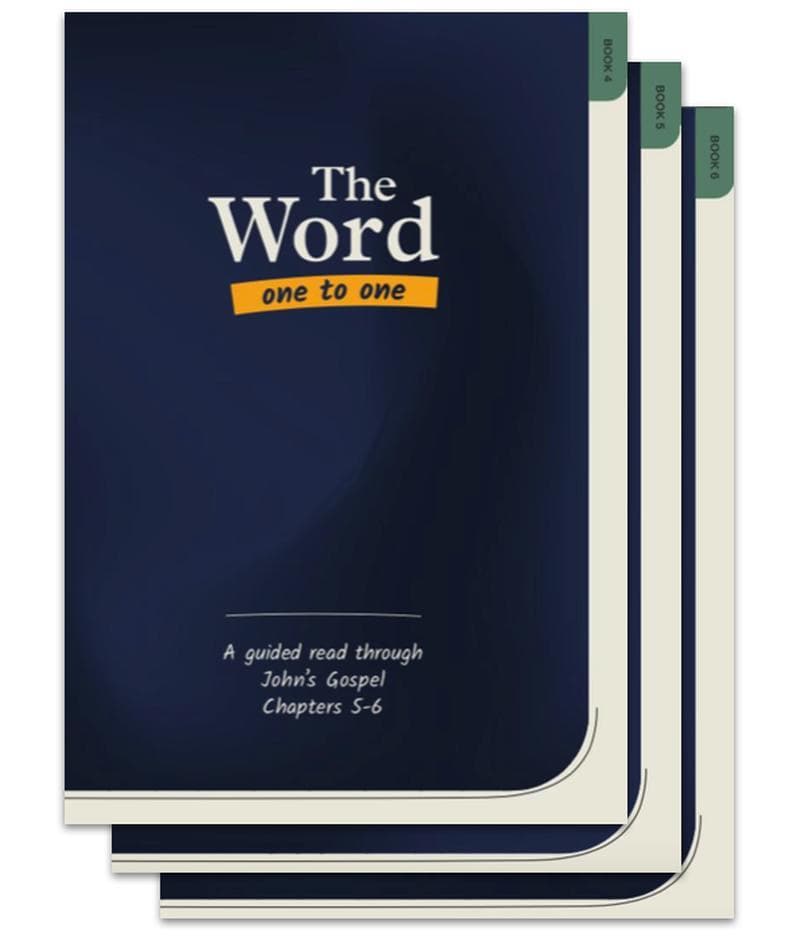 word121bks456-word-one-to-one-pack-2-2-copies-of-books-4-6-john-chapters-5-10